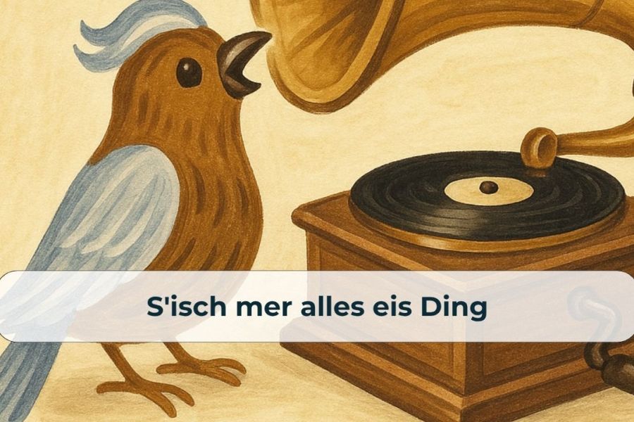S'isch mer alles eis Ding